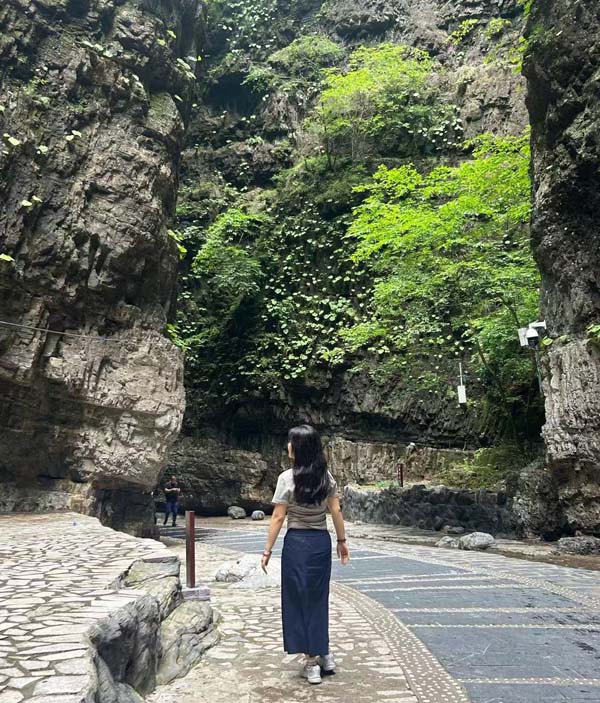 茶香四时：春夏秋冬该喝什么茶？