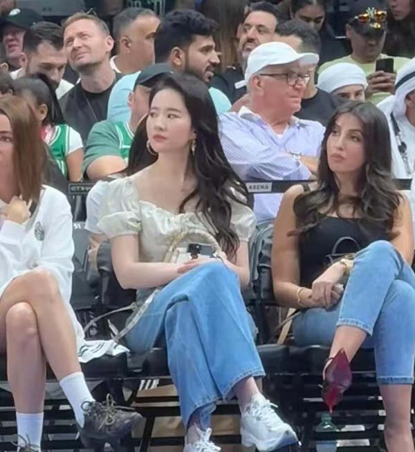 茶与健康：科学解读喝茶的养生功效